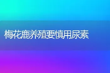 梅花鹿养殖要慎用尿素