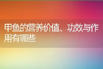 甲鱼的营养价值、功效与作用有哪些