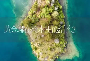 黄金螺在冷水里能活么？