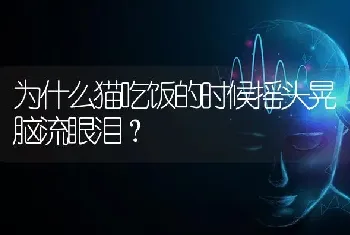 为什么猫吃饭的时候摇头晃脑流眼泪？