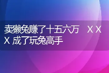 卖獭兔赚了十五六万 XXX成了玩兔高手