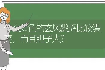 什么颜色的玄风鹦鹉比较漂亮，而且胆子大？