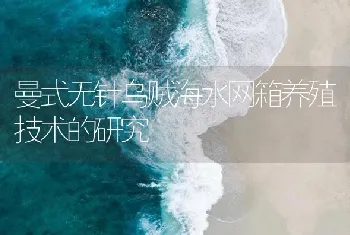 曼式无针乌贼海水网箱养殖技术的研究