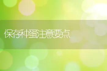 保存种蛋注意要点