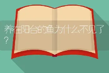 养在阳台的鱼为什么不见了？