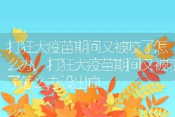 打狂犬疫苗期间又被咬了怎么办，打狂犬疫苗期间又被咬了怎么办没出血