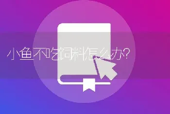 小鱼不吃饲料怎么办？