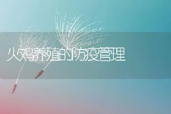 火鸡养殖的防疫管理