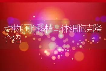 沿海滩涂大面积养鱼的经济效益分析