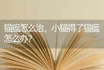 猫瘟怎么治，小猫得了猫瘟怎么办？