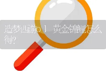 造梦西游ol黄金锦鲤怎么得？