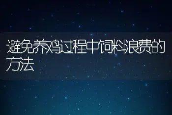 避免养鸡过程中饲料浪费的方法