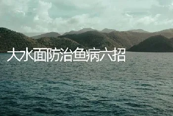 大水面防治鱼病六招