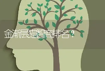 成年拉布拉多犬每天的狗粮一般最少花费多少？