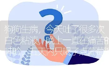 狗狗生病，今天吐了很多次白色粘液，晚上一直在痛苦的呻吟，五天内只喝了点葡萄糖，它会死么？