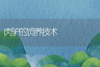 养七彩神仙，怎样管理水质（一）