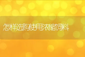 多不饱和脂肪酸提高动物免疫力的作用