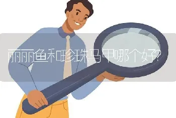 红绿灯鱼能和什么大型鱼混养？