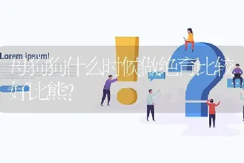 母狗狗什么时候做绝育比较好比熊？