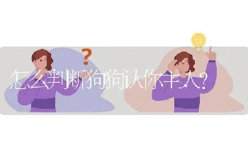 怎么判断狗狗认你主人？