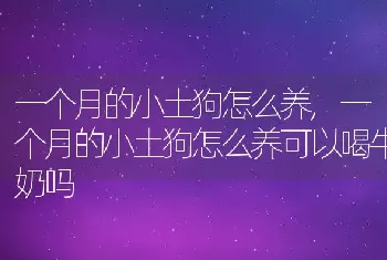 一个月的小土狗怎么养，一个月的小土狗怎么养可以喝牛奶吗