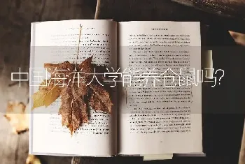 中国海洋大学能养仓鼠吗？