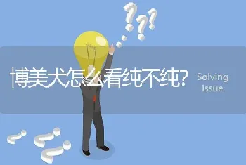 不纯的哈士奇是和谁混的？