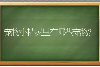 宠物小精灵里有哪些宠物？