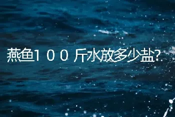 燕鱼100斤水放多少盐？