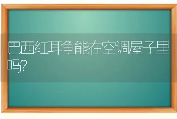 巴西红耳龟能在空调屋子里吗？