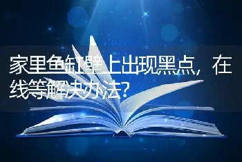 家里鱼缸壁上出现黑点，在线等解决办法？