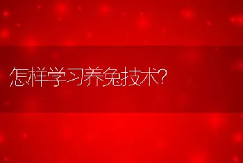 怎样学习养兔技术？