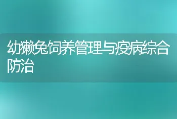 幼獭兔饲养管理与疫病综合防治