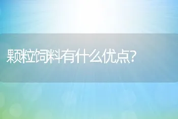 颗粒饲料有什么优点？