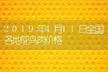 2019年4月11日全国各地鸵鸟肉价格