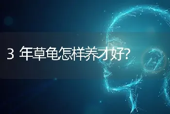 美短眼睛多久变色？