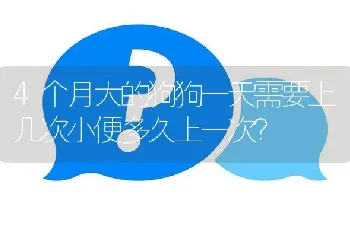 4个月大的狗狗一天需要上几次小便多久上一次？