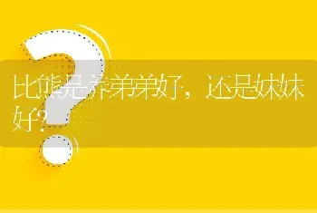 比熊是养弟弟好，还是妹妹好？