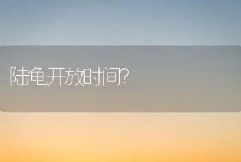 陆龟开放时间？