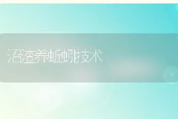 鱼塘变课堂，上海水产专家第一线传授养殖经