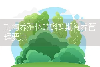 牙鲆养殖技术