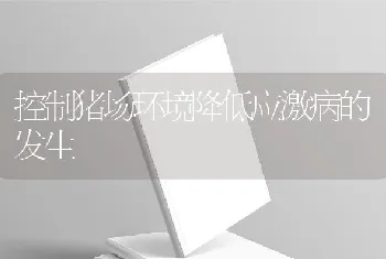 畜禽需要哪些粗饲料