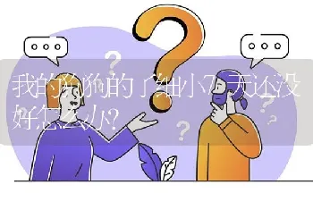 我的狗狗的了细小7天还没好怎么办？