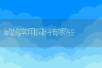 蛇夏季饲养的管理技术要点