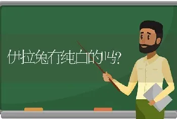 伊拉兔有纯白的吗？