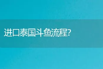 进口泰国斗鱼流程？