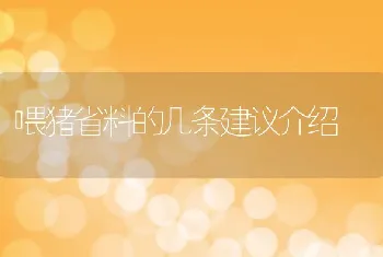 喂猪省料的几条建议介绍