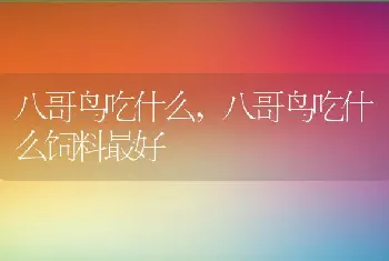 八哥鸟吃什么，八哥鸟吃什么饲料最好