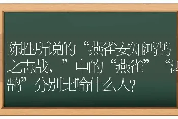 比熊忌讳什么？