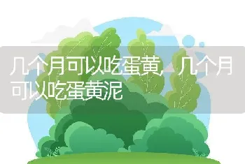 几个月可以吃蛋黄，几个月可以吃蛋黄泥